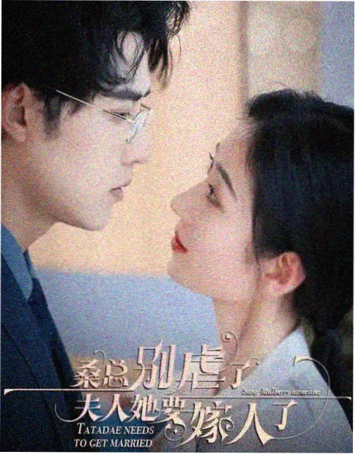 动漫岛第七码头剧场版